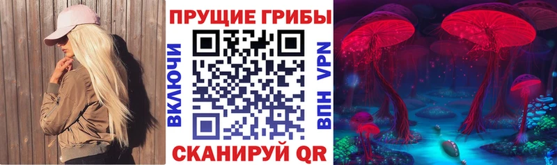 Псилоцибиновые грибы ЛСД  Купить  Ершов 